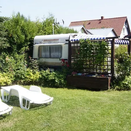 Prezydencja * Białogóra