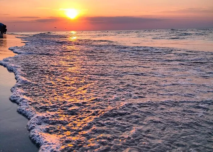 Prezydencja Białogóra