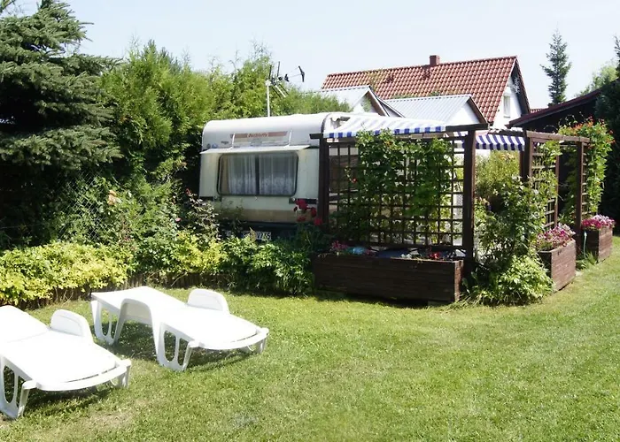 Prezydencja * Białogóra